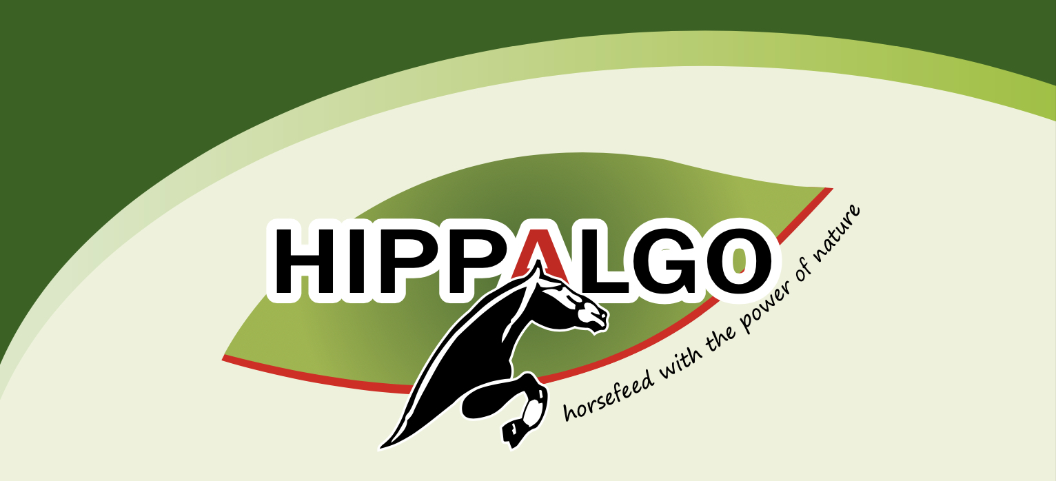 Hippalgo Logo Homepage